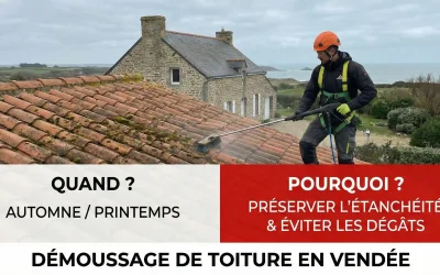 Démoussage de toiture en Vendée : Le guide complet pour protéger votre maison (Quand et Pourquoi ?)