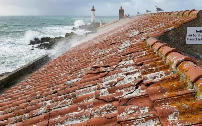 Toiture en bord de mer : comment l’air salin de Saint-Gilles impacte vos tuiles ?
